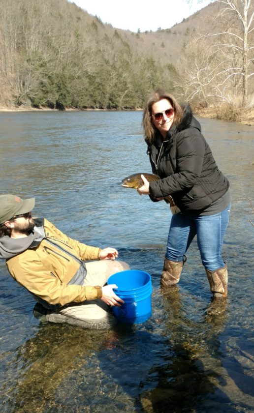 Brown Trout Club to be featured during Trout Unlimited meeting News